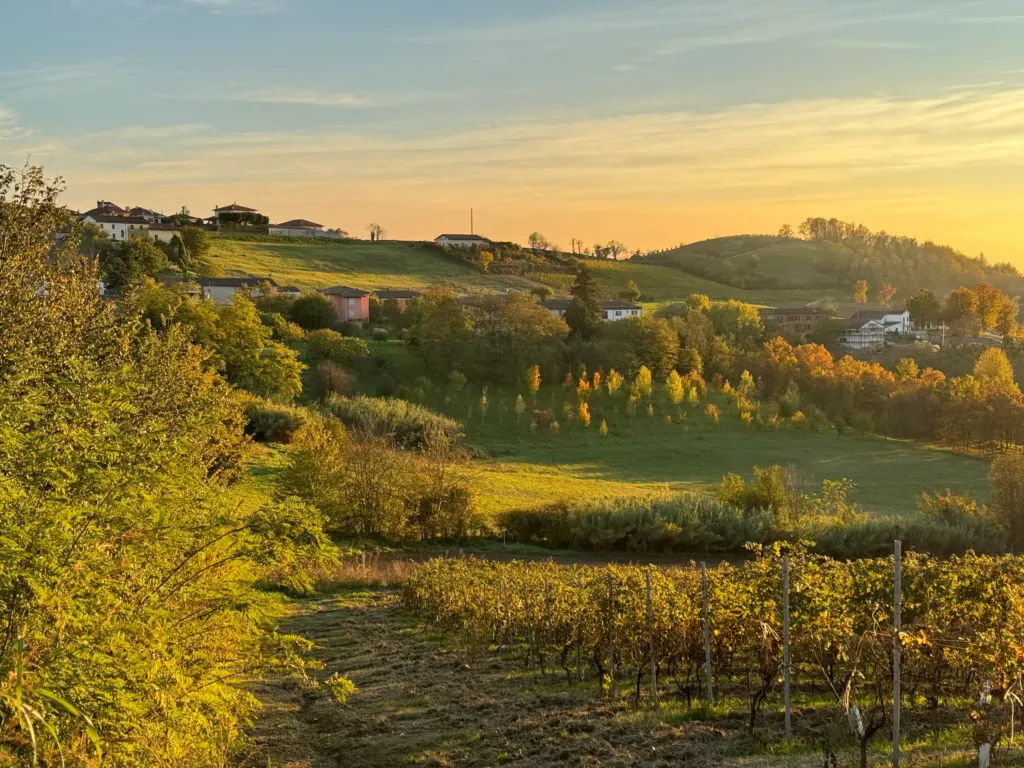 Monferrato hills, UNESCO World Heritage Landscape